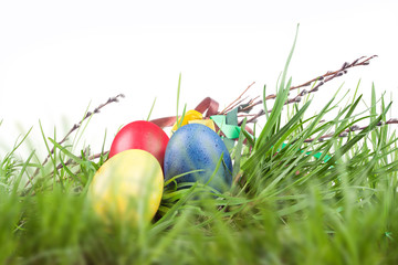 Easter colored eggs in the grass