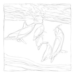Fototapeta premium beautiful dolphins line art continuous line drawing