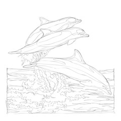 beautiful dolphins line art continuous line drawing
