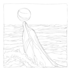 beautiful dolphins line art continuous line drawing