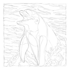 beautiful dolphins line art continuous line drawing
