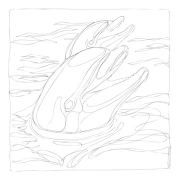 beautiful dolphins line art continuous line drawing