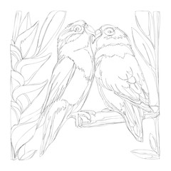 amazing parrots line art continuous line drawing