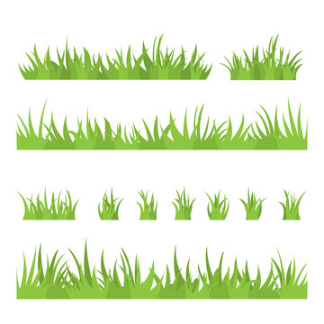 Tufts of grass. A set of design elements of nature. Vector illustration.