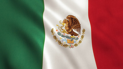 Naklejka premium Mexico Flag
