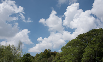 Sky view