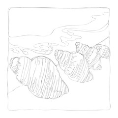 marine life line art continuous line drawing coloring page