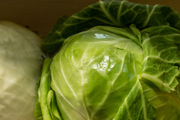 Kachan cabbage and shelves