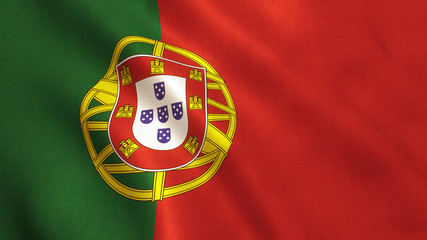 Obraz premium Portugal Flag