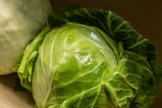 Kachan cabbage and shelves