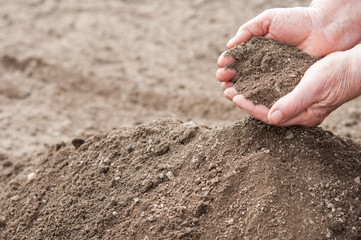 Soil in hands