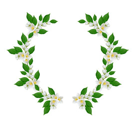 Fototapeta premium branch of jasmine flowers isolated on white background