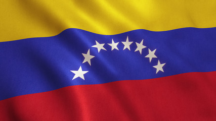 Venezuela Flag