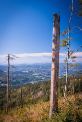 Obraz premium Beskids mountains