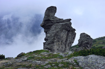 Природа Алтайского края. Прекрасный Алтай разнообразен. Он богат могущественными горами, скалами, бескрайними,зелёными и цветущими равнинами и лугами с цветами и целебными травами.