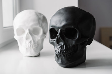 White and black skulls stand on the windowsill