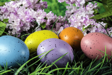 colored Easter eggs in green grass with spring flowers and green bbackground