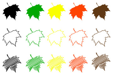 Sycamore leaf - color set, sycamore leaf,