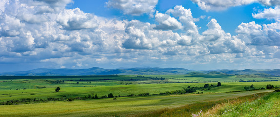Fototapeta na wymiar Summer Landscape, Altai, Siberia