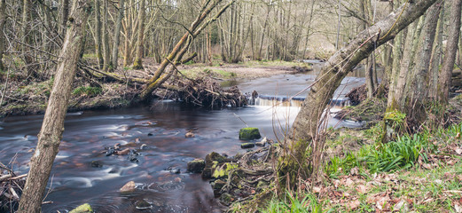 A Forest River