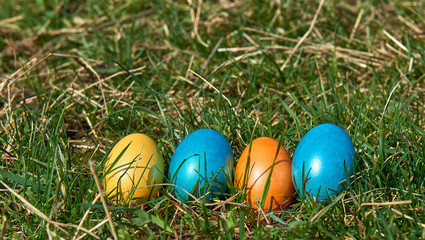 Easter eggs on grass background