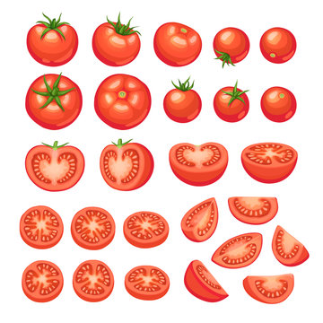 Collection of chopped tomatoes isolated on white background.  Tomato slices illustration.