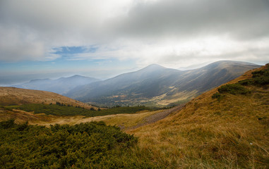 Obraz premium Mountains are covered with various vegetation and the cloudy sky. Carpathians