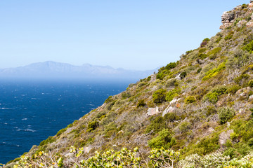 Fototapeta na wymiar Coastal Landscape, South Africa