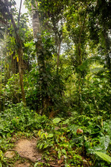 Kolumbien Ciudad Perdida - Wandertour