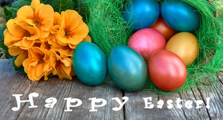 Easter eggs in nest on old wooden background with yellow flower and Text Happy Easter