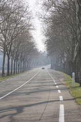 Fototapeta premium Open Road outside Uzes; Provence