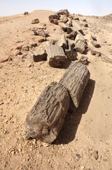 Petrified Forest near El Kurru, Sudan
 - obrazy, fototapety, plakaty