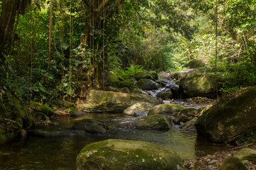 Obraz premium Kolumbien Ciudad Perdida - Wandertour