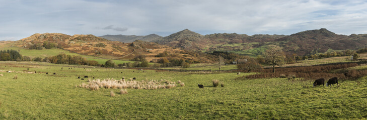 Fototapeta premium Stunning tourism landscape image of Lake District during Autumn Fall in England