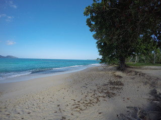Beach in Dominican Republic