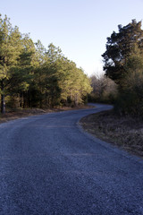 Curvy, gravel back road lined with trees on each side underneath a cloudless sky.