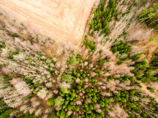 aerial view of rural area with fields and forests