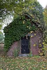 Fototapeta na wymiar Petite, outdoor shed with weathered black door. Ivy and other vines growing across the front, giving it a natural, layered look.