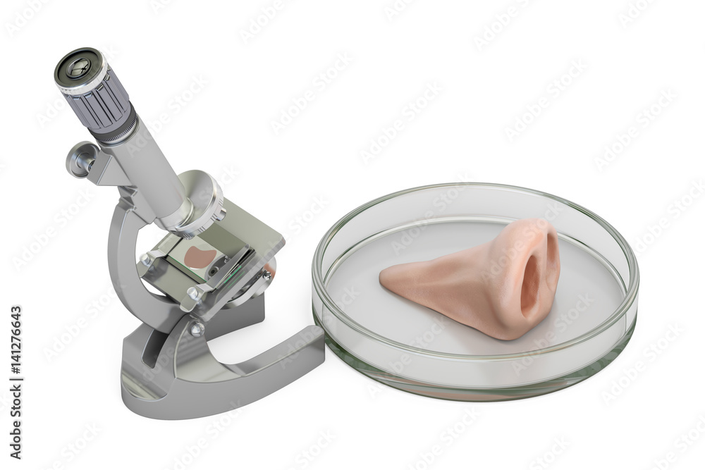 Aufkleber laboratory microscope with human nose, growing organ in the lab concept. 3d rendering