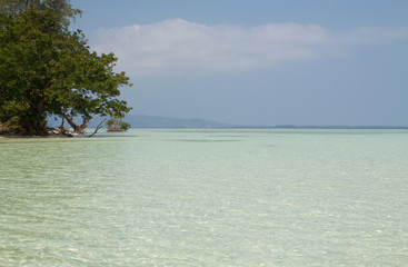 seascape of  karimunjava archipelago with group of fish jumping