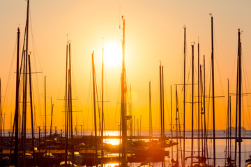rows of boats mast