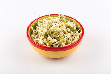 Pea seeds with sprouts close up