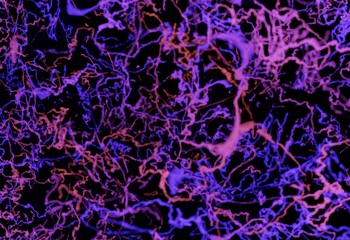 blood or neuron links system red and blue 3d illustration