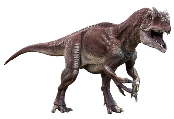 3D rendering of Allosaurus walking to viewer, isolated on white background.