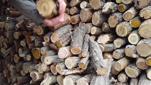 Man prepares firewood stack.winter and background stack
