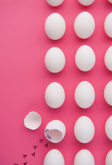chicken escape from egg, freedom conception