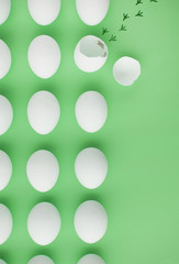 chicken escape from egg, freedom conception