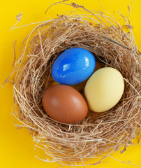 Happy Easter Card - space for text. Easter eggs in nest on rustic wooden background, selective focus image. 