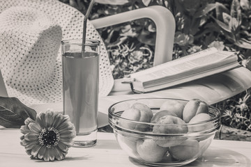 Relax in the flowering garden on a sunny summer day
