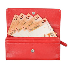 Wallet with money